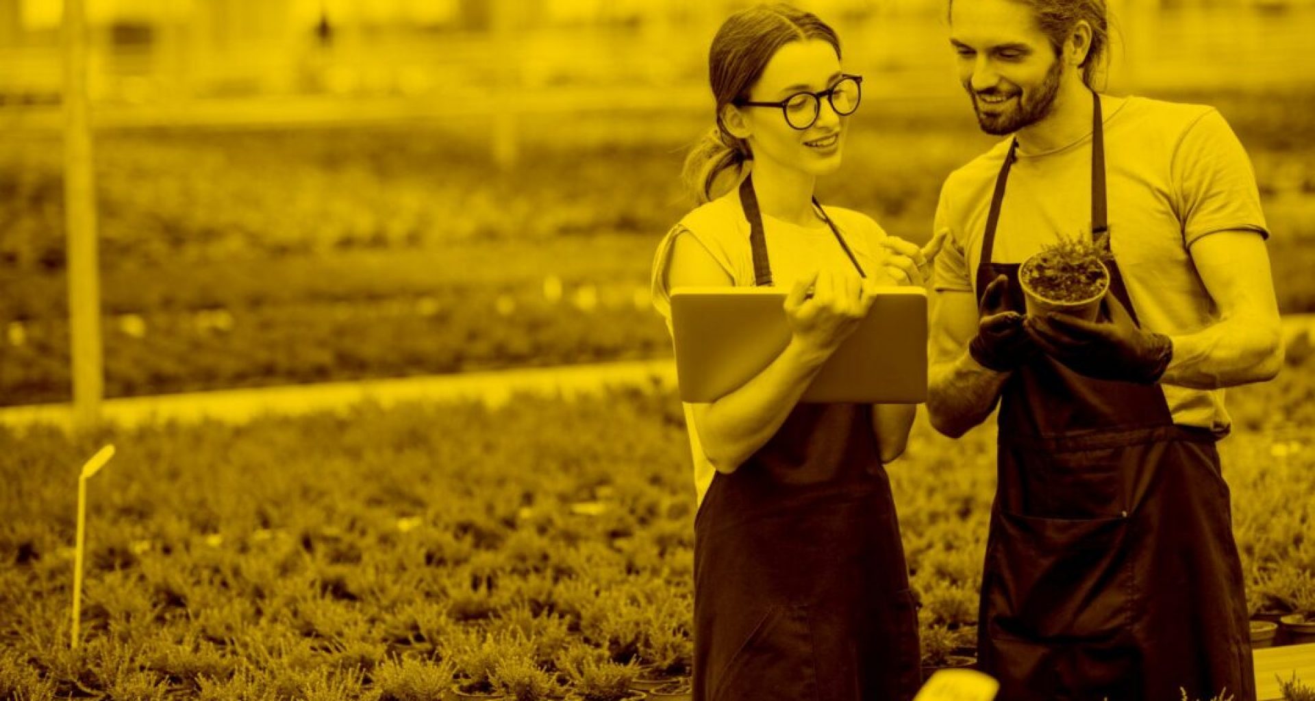 Florist und Floristin arbeiten mit Tablet und Vario in der maja.cloud